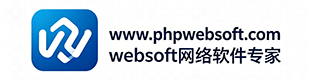 websoft网络软件专家